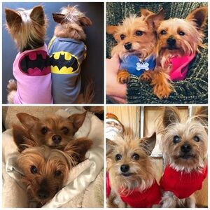 PETS closet info 😃